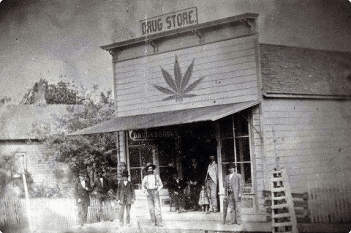 New Hampshire cannabis history
